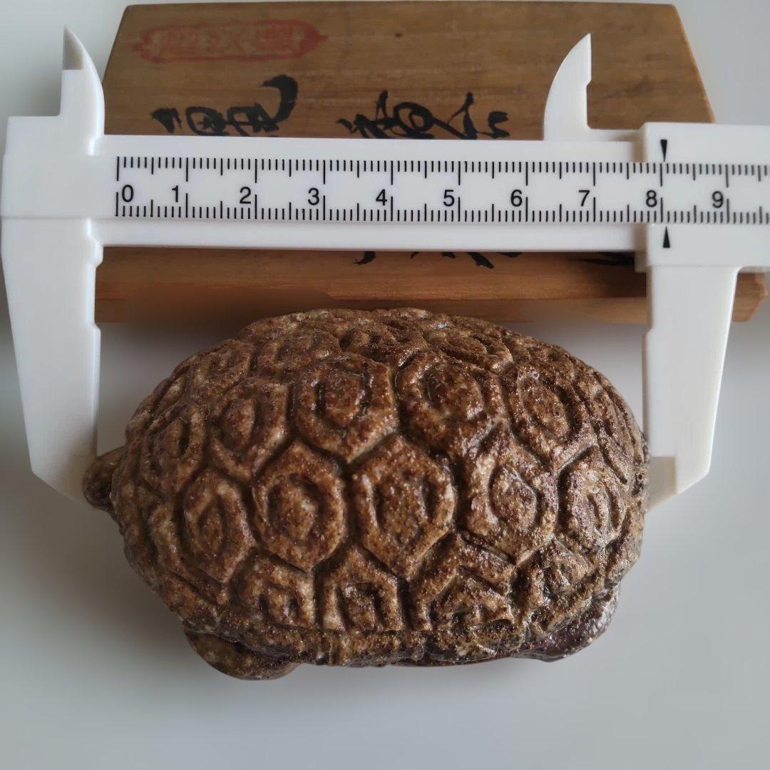 信楽焼 亀 香合