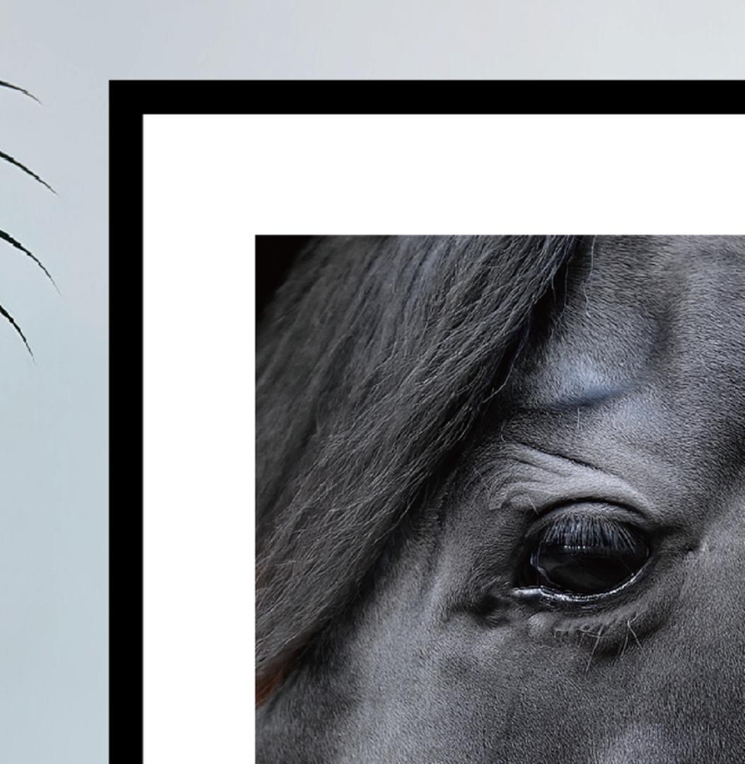 馬・No.003／アートポスター　400×500