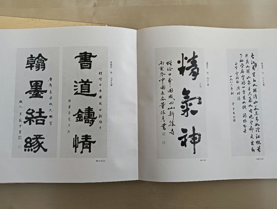 中国当代墨宝集