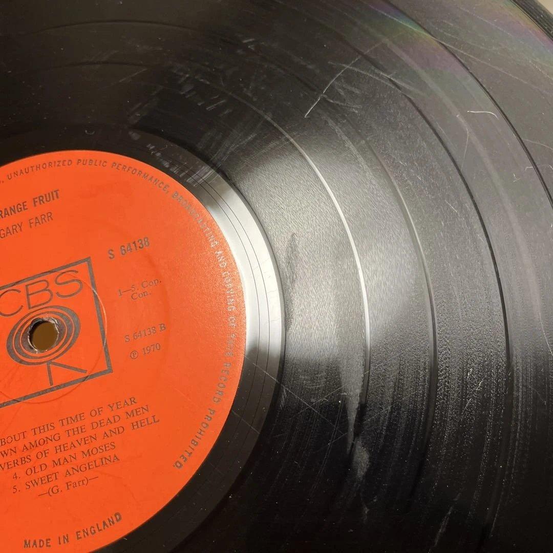 レア【USオリ】Gary Farr Strange Fruit レコード LP