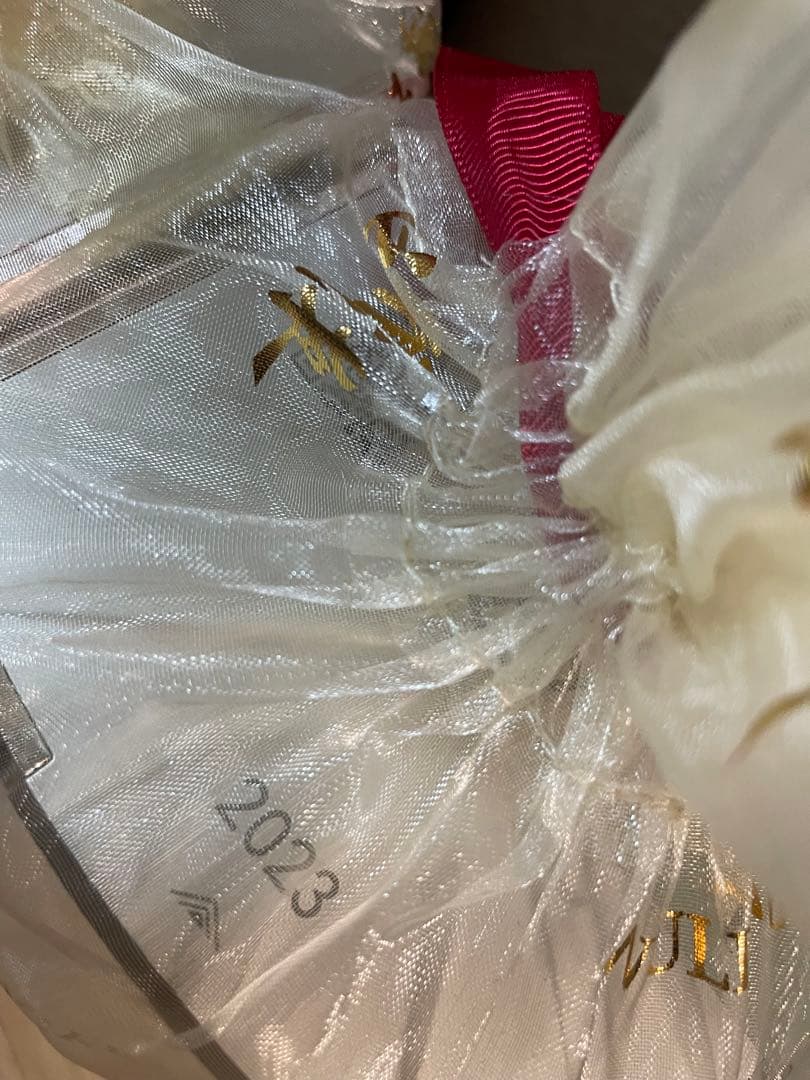 中国酒　高級白酒五粮液 500ml 52度　2023年製ギフト用　2本セット