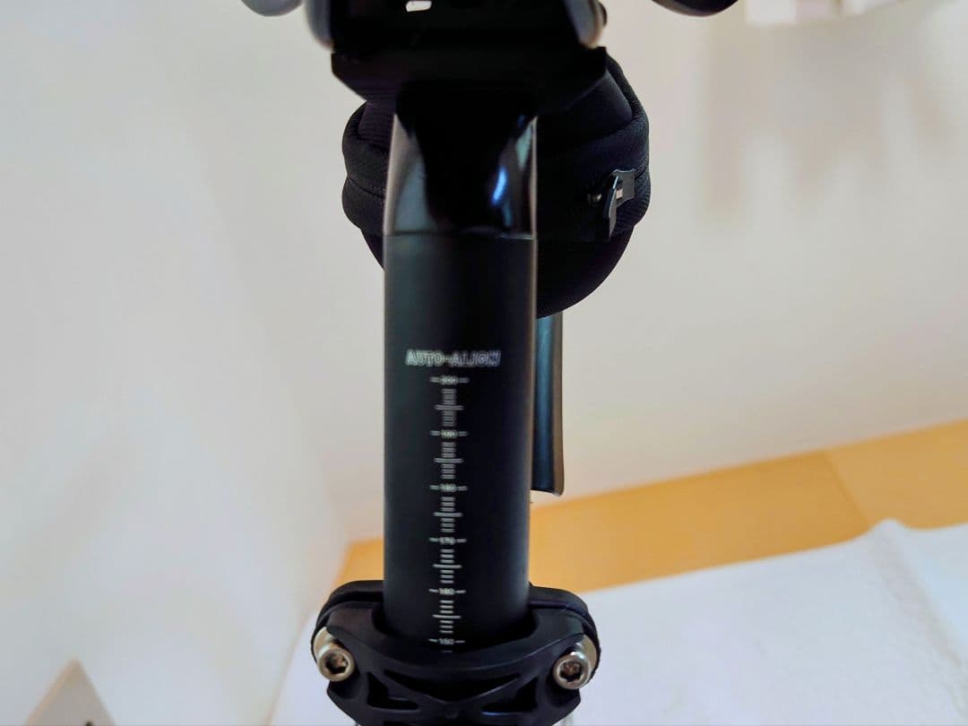 GIANT RX Disc 美品