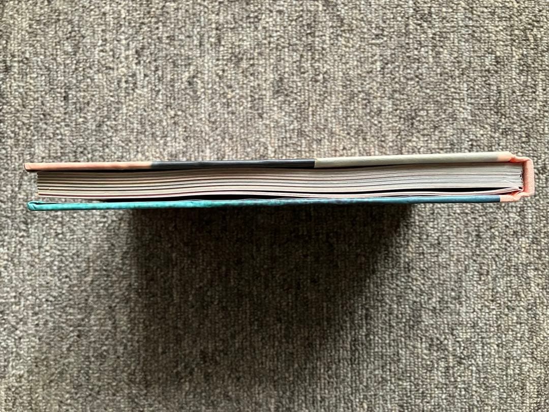 アート・デザイン・音楽 the virgin suicides / sofia coppola