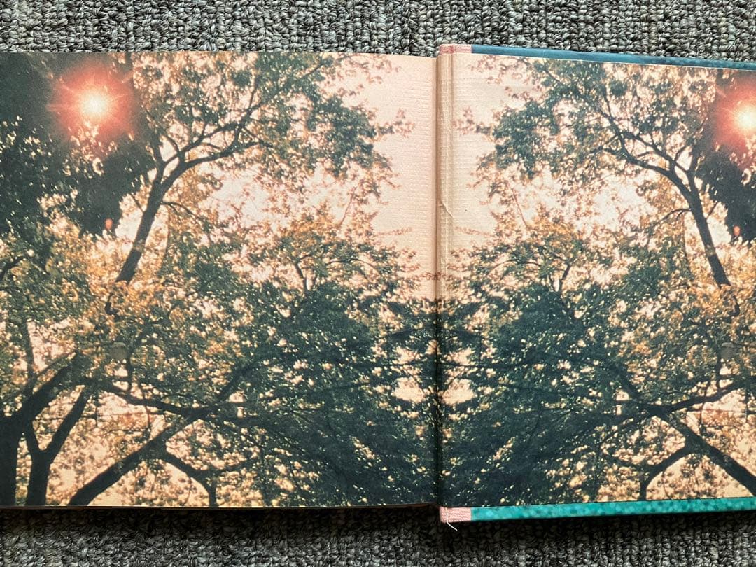 アート・デザイン・音楽 the virgin suicides / sofia coppola