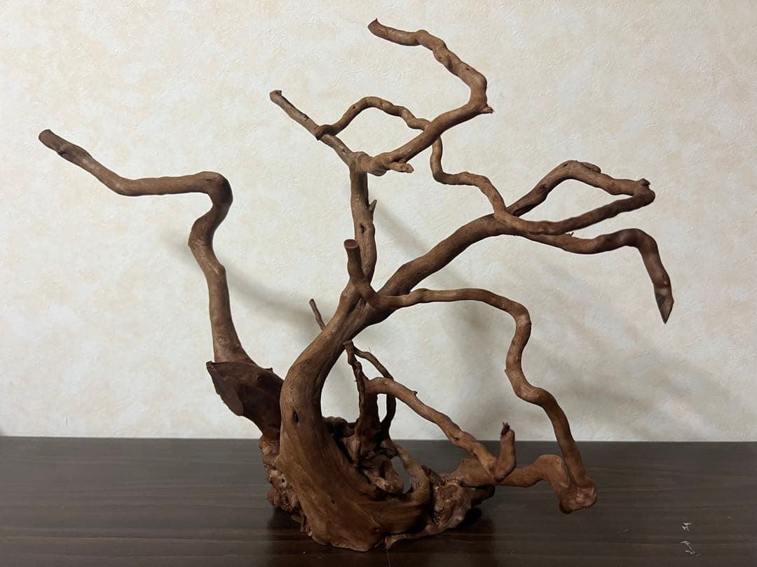 61103 ブランチウッド　流木　アクアリウム　沈水確認済