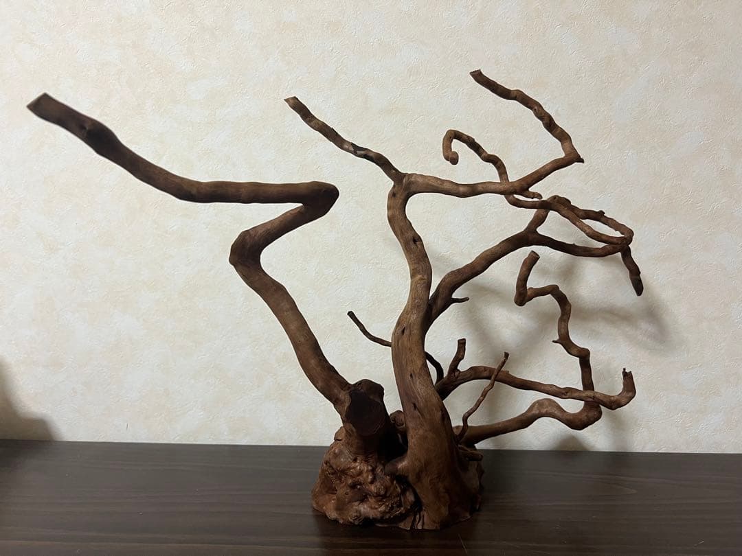 61103 ブランチウッド　流木　アクアリウム　沈水確認済