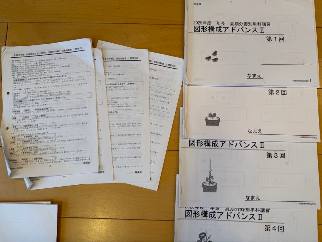 （イチゴラバー）精華ゼミ年長7月、夏期講習、秋季講習