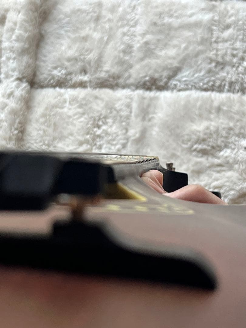 た*ん様 Eastman MD314 イーストマン フラットマンドリン