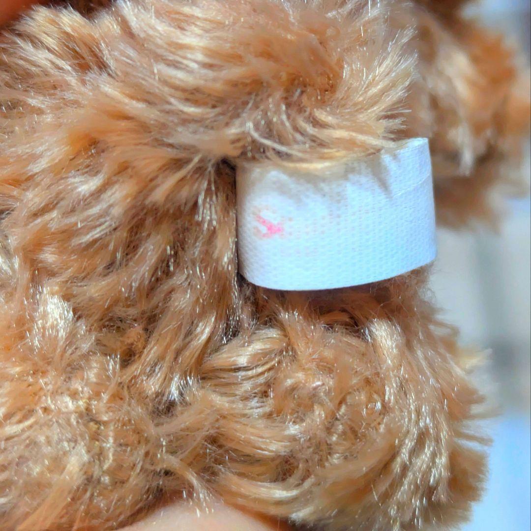 シュガーバニーズ くろうさ 5周年限定 ぬいぐるみセット