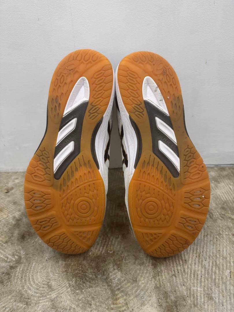 asics バレーボールシューズ ローテジャパン　26.5