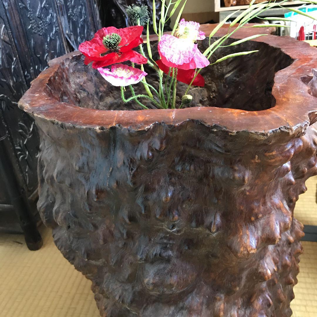 木の根 インテリア  掛軸いれなど