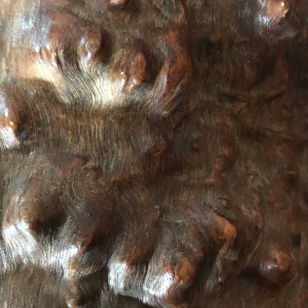 木の根 インテリア  掛軸いれなど