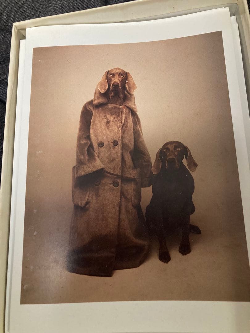 廃盤品　IKEA OLUNDA ピカソ　レプリカ　アート　貴重　希少　レア商品