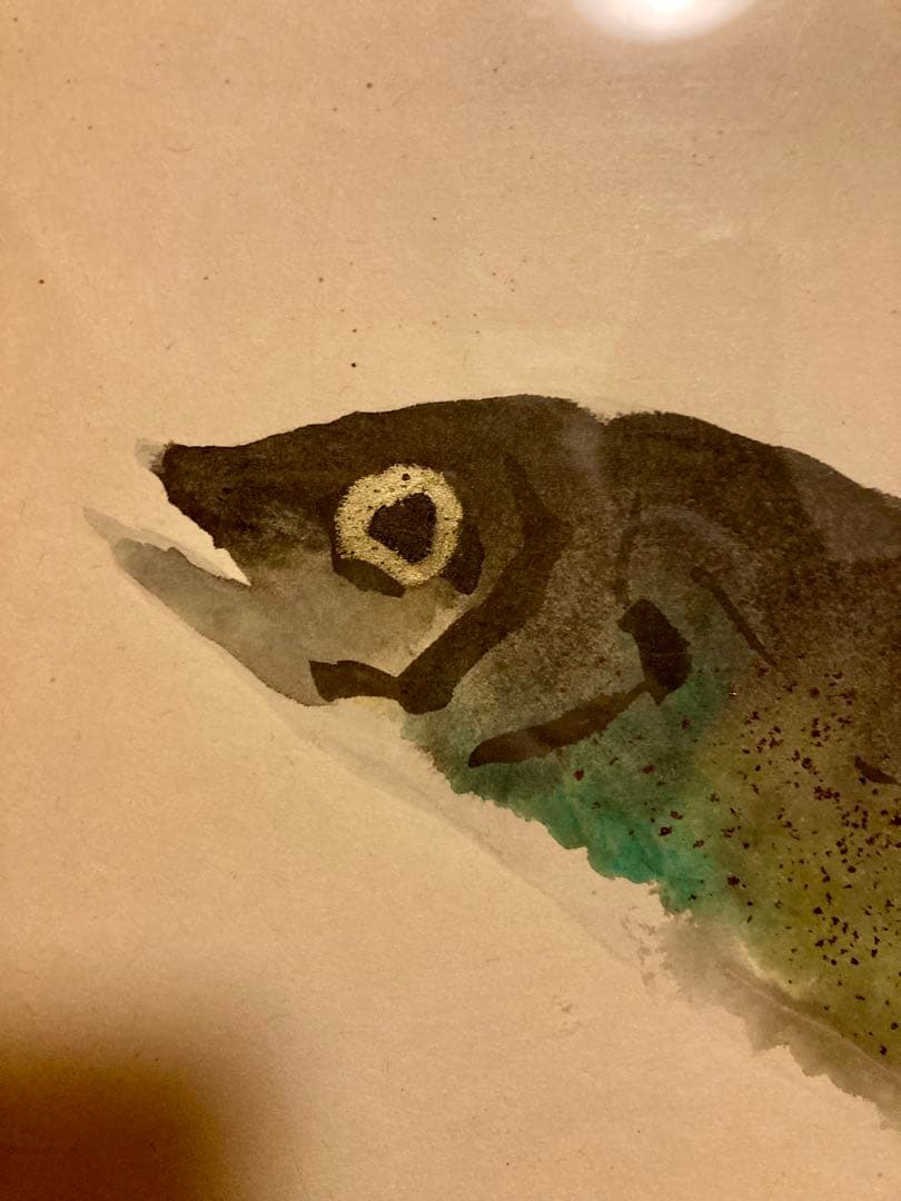 【真作】片岡鶴太郎 水彩画 魚の絵 透明アクリルフレーム入