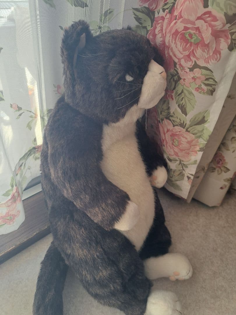 カドリー　猫　金之助