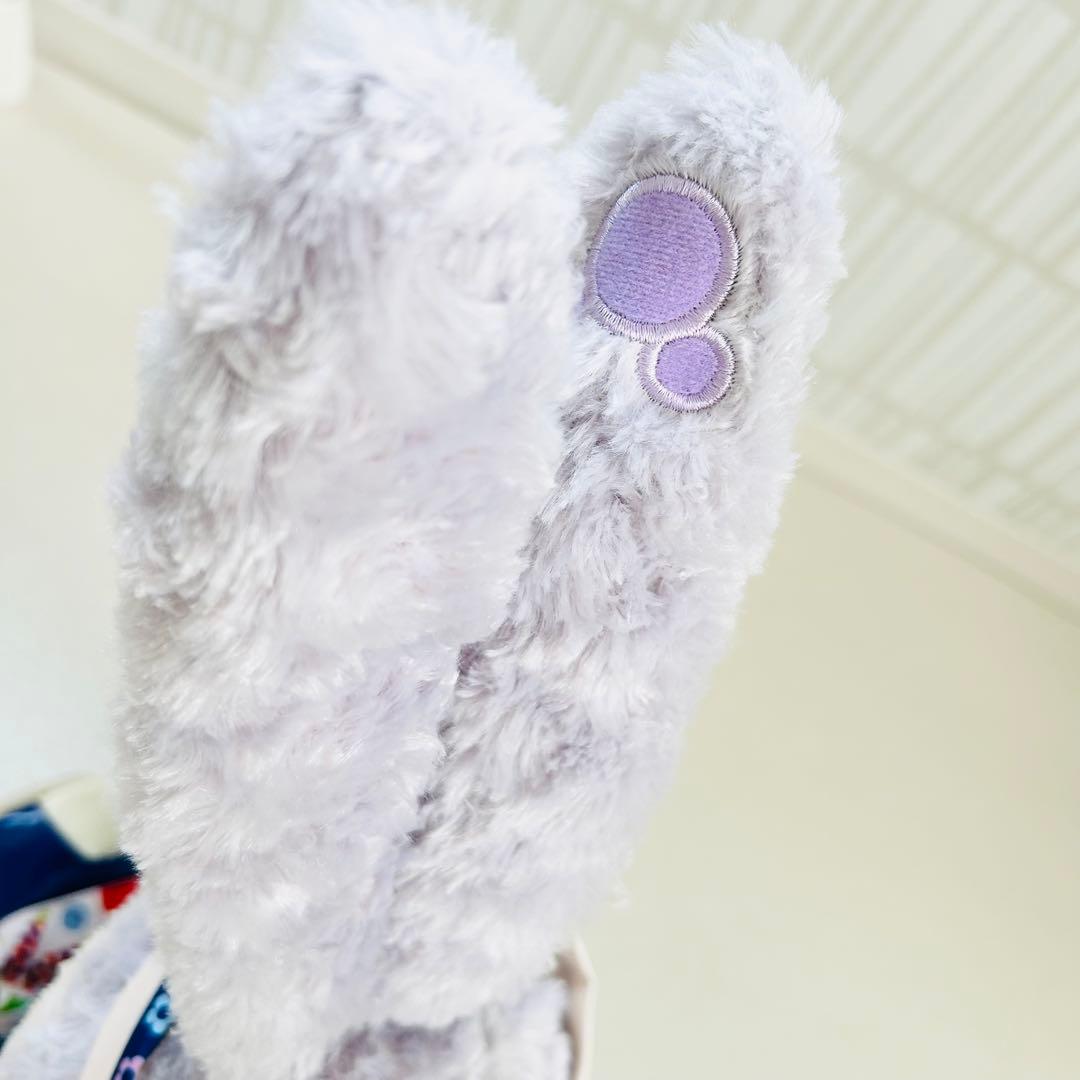 レア✨秋の冒険2019 ステラルー Sサイズ ぬいぐるみ＋コスチューム 完売品