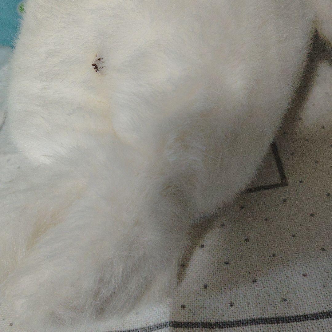 やまね工房 あざらし ぬいぐるみ