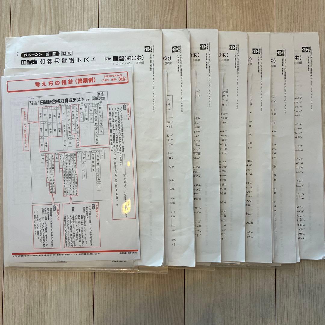 日能研　2025年度　6年　学習力育成テスト等