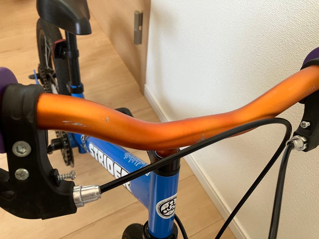 STRIDER 14x ブルー