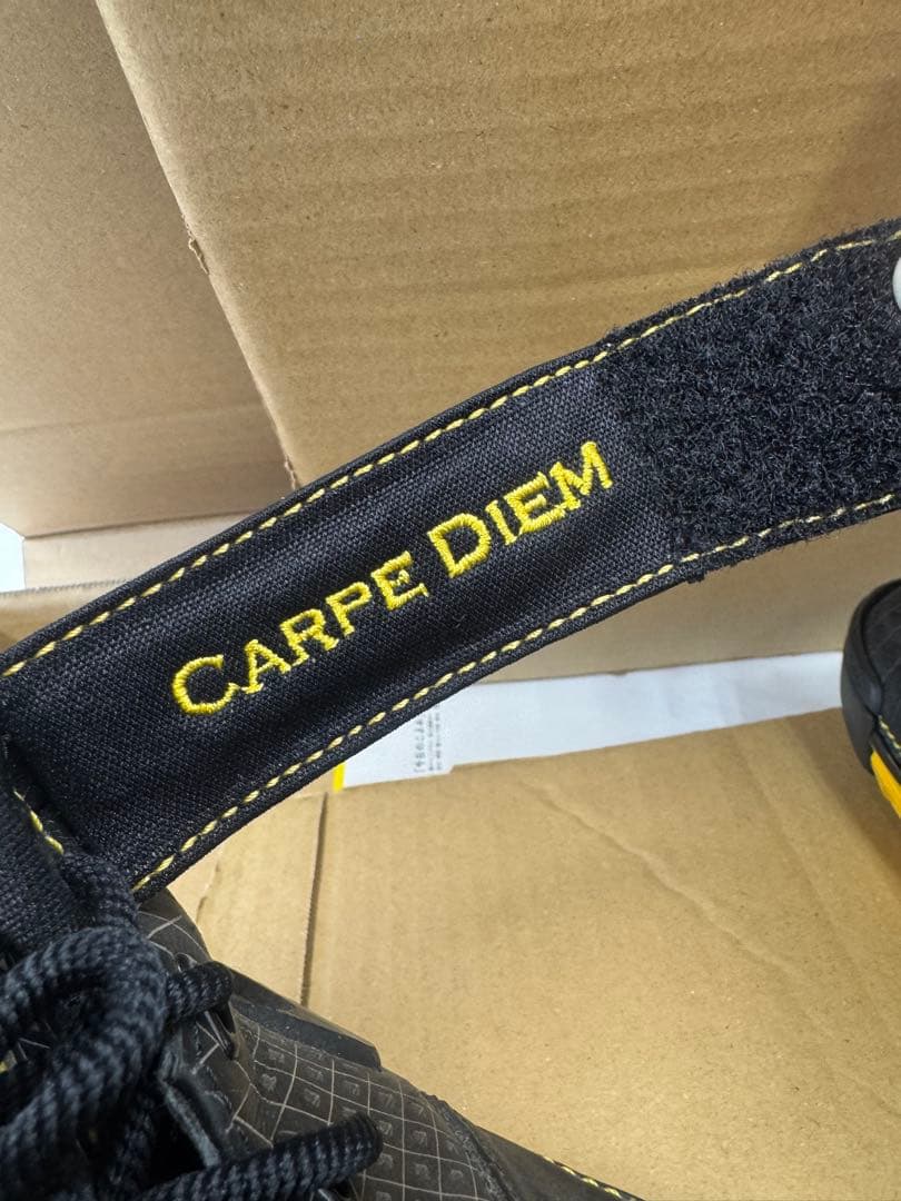 ナイキZoom kobe2 \"Carpe Diem\"27.5cm (説明欄必読)