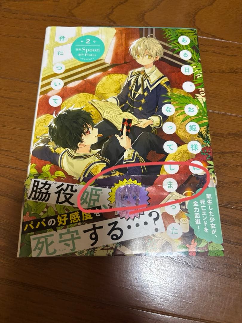 ある日、お姫様になってしまった件について 1-12巻 漫画 おまけ付き ある姫
