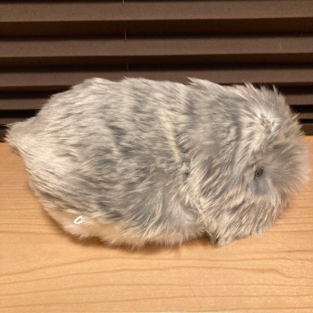 CASIO PE-M10SR Moflin カシオ モフリン グレー AIペット