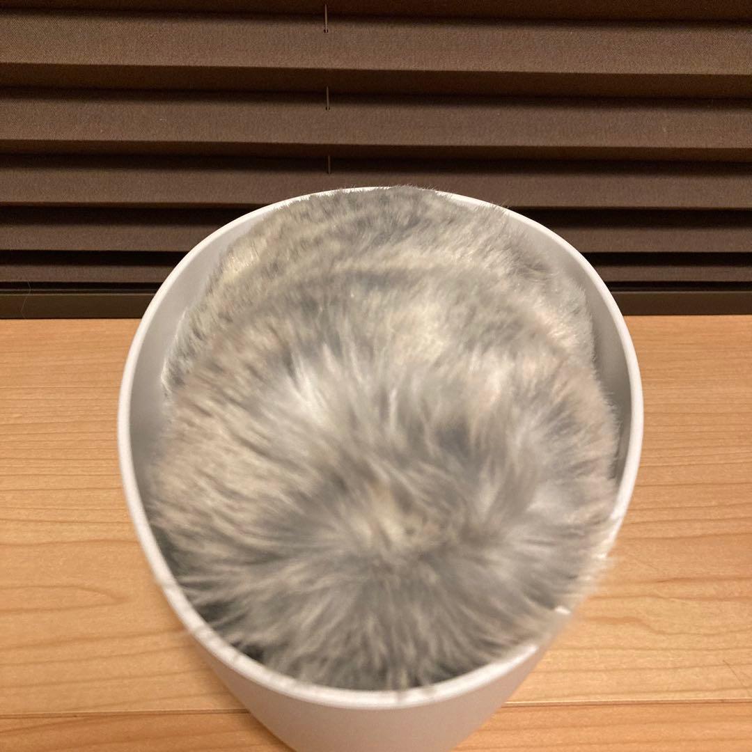 CASIO PE-M10SR Moflin カシオ モフリン グレー AIペット