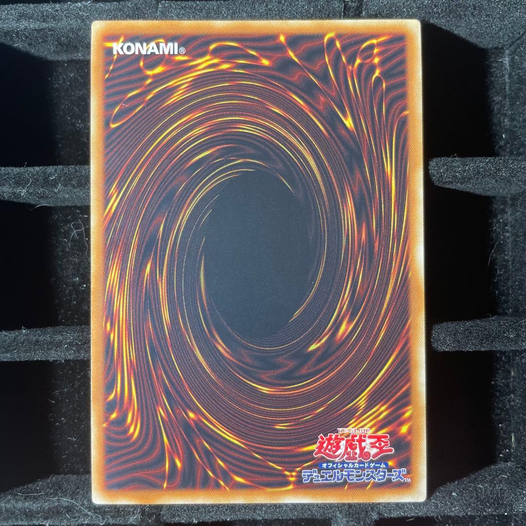 【美品】万物創世龍 10000シク IGAS-JP000