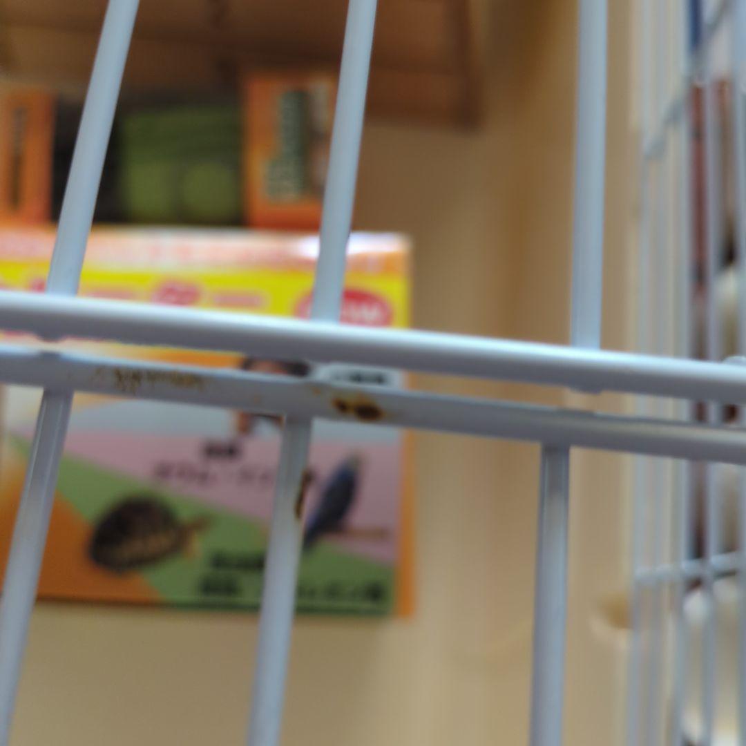 小動物 飼育セット