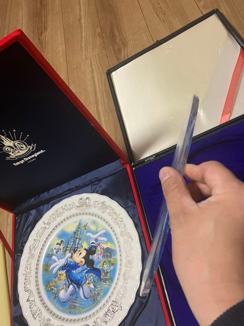 東京ディズニーシーグランドオープニング プレート皿　ランド20周年記念