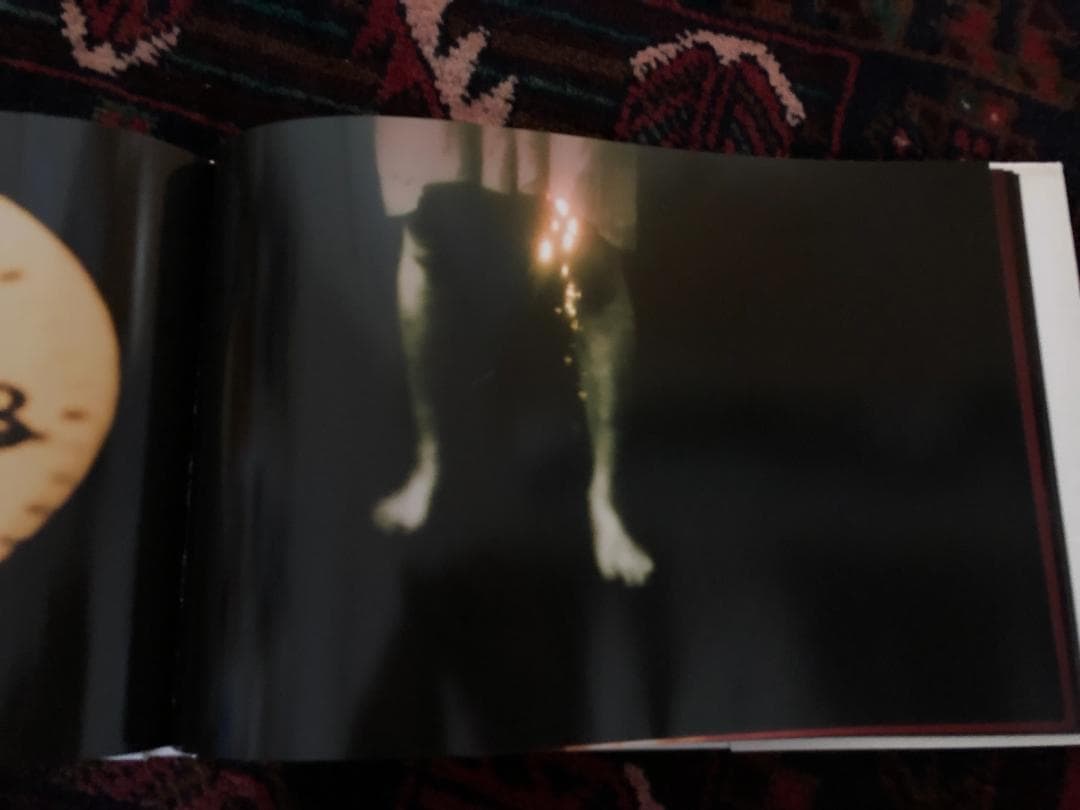 志賀理江子 写真集 Lilly