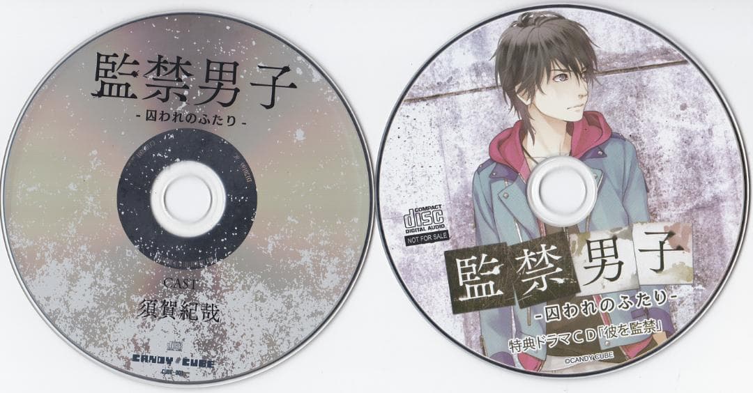 監禁男子 シリーズ