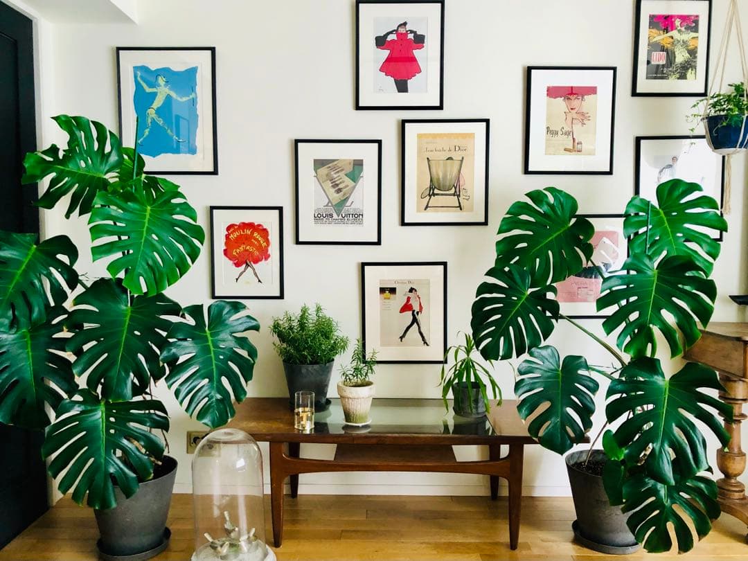 1980's ルネグリュオ ヴィンテージポスター(Christian Dior)