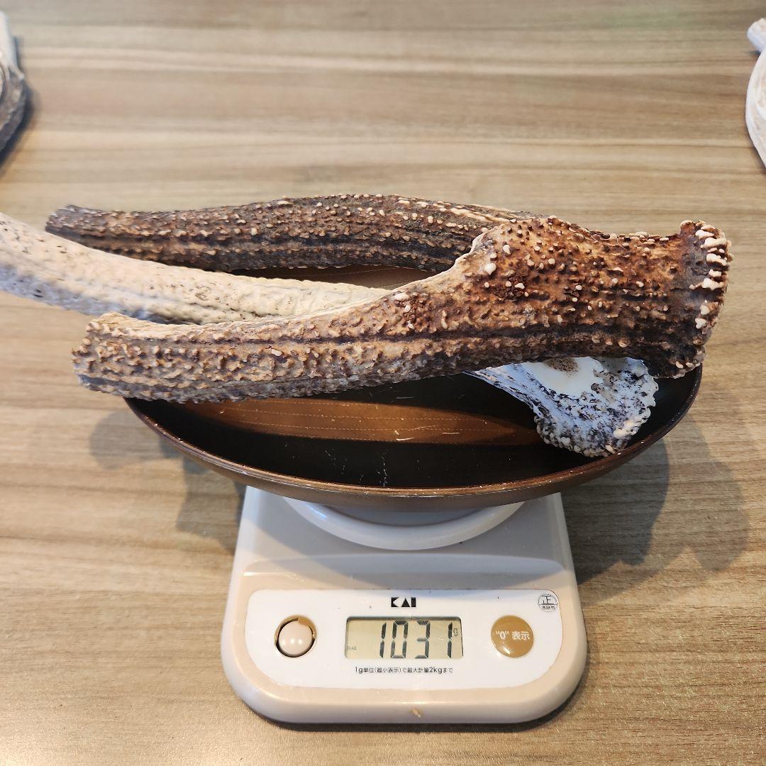 鹿の角 (特大～大サイズ)犬用おもちゃ ランダム　10kg