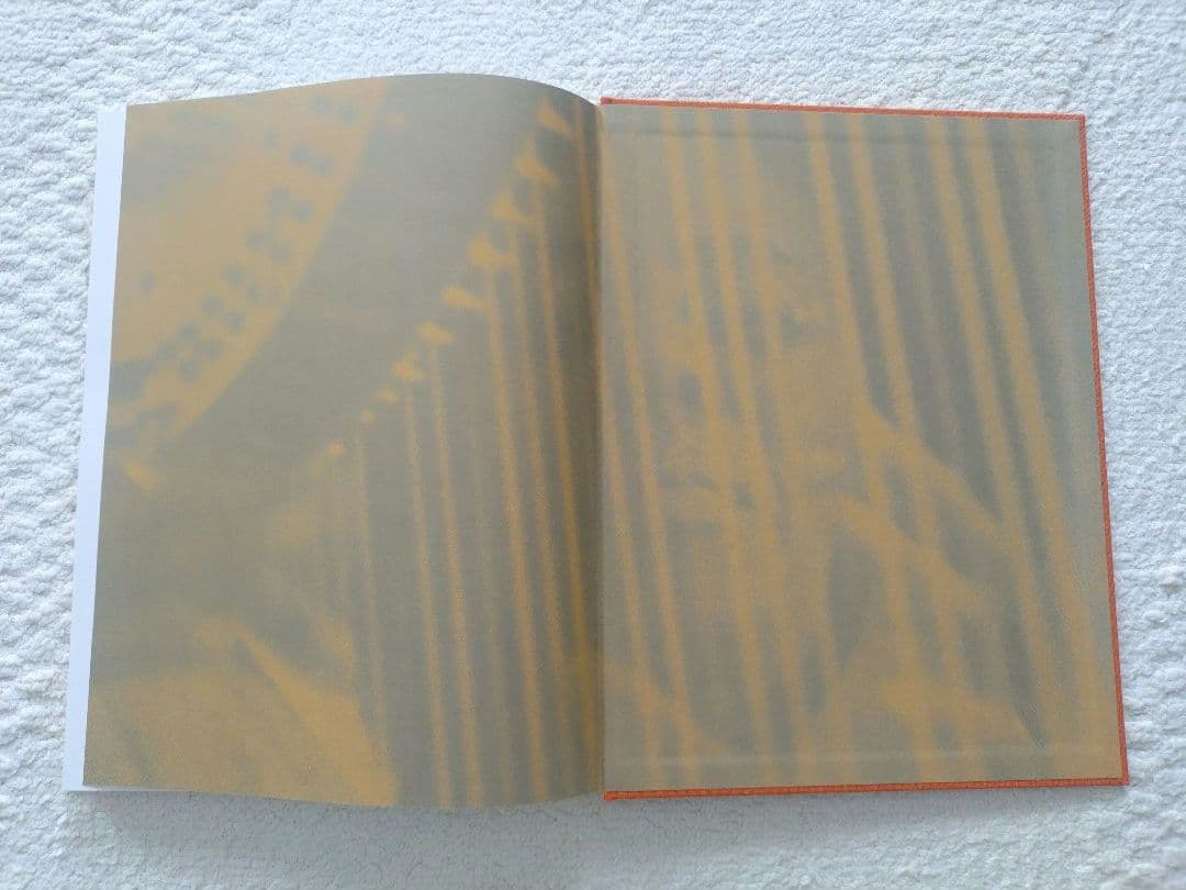 コルトレーン Alice Coltrane Monument Eternal