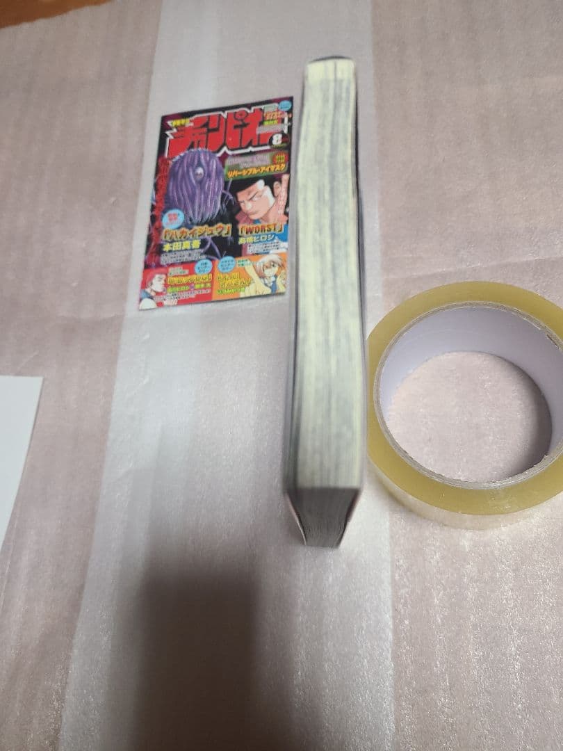 聖闘士星矢ロストキャンバス カプリコーン アニメイト 特典 ペーパー 非売品