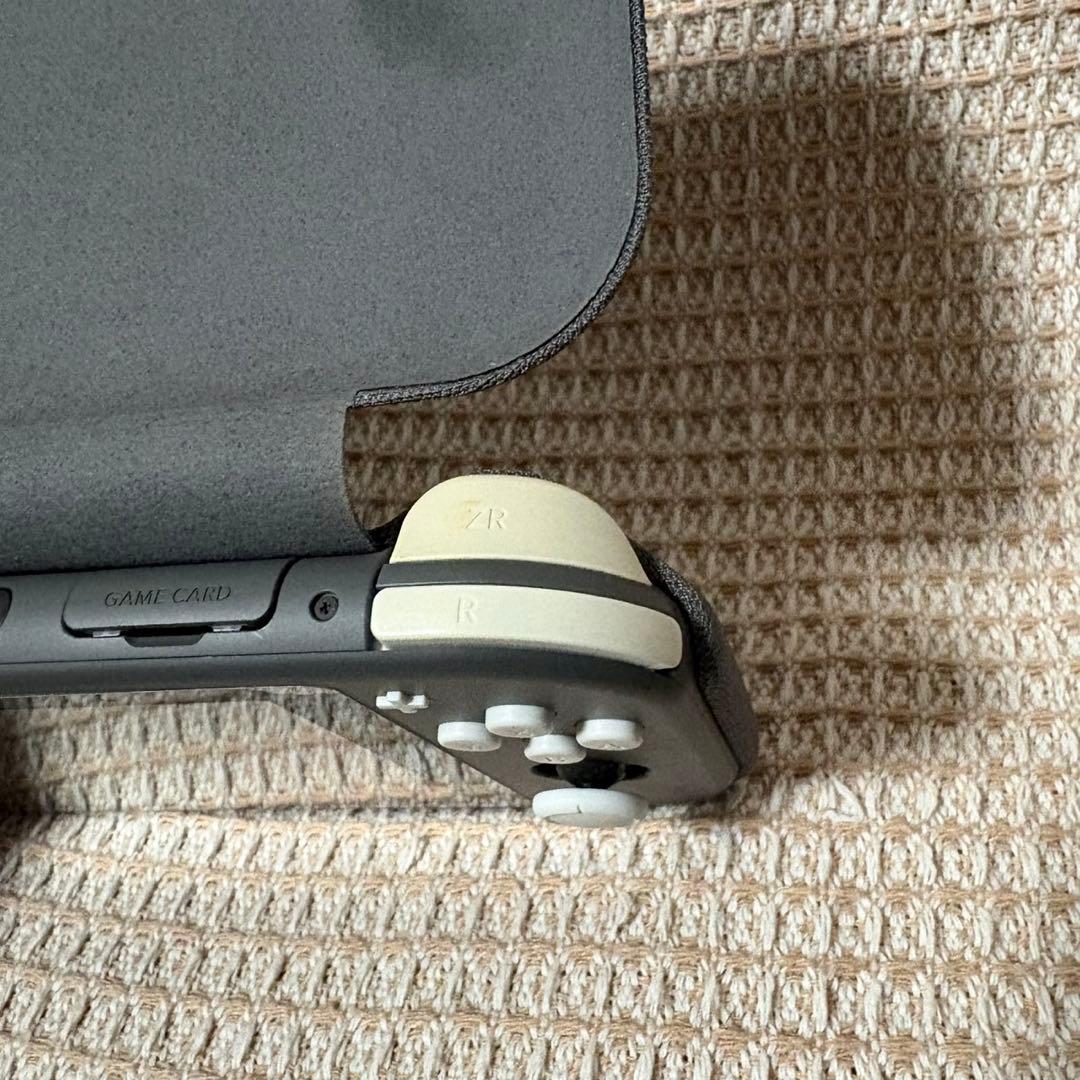 Switch lite ライト　フリップカバー付き　動作確認済み