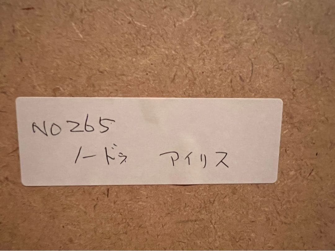 エミール ノルデ アイリス アート 額縁 インテリア