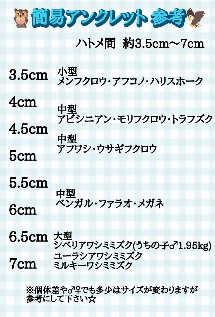 猛禽用品☆簡易アンクレット  各サイズ  在庫カラー確認用