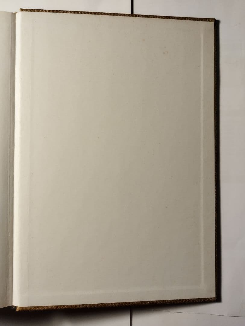 Juergen Teller GO-SEES ユルゲン・テラー 写真集