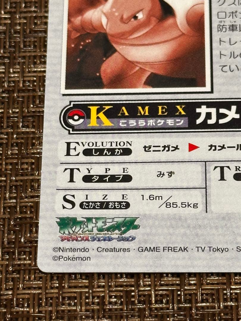 ポケモンカード「カメックス、消化活動大いそがし！」
