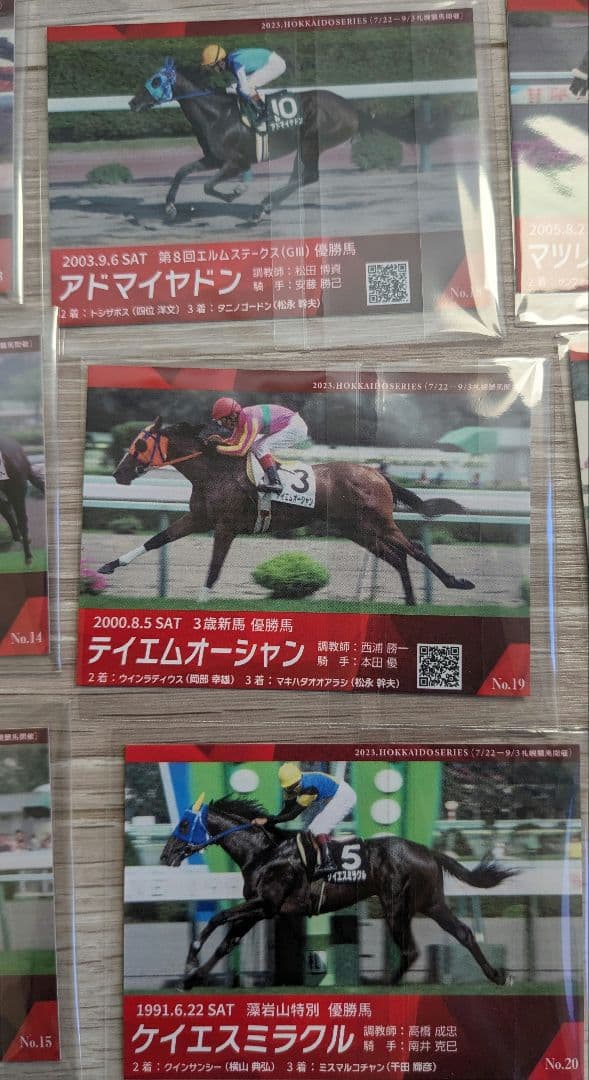函館競馬場 札幌競馬場 メモリアル カード 26枚 競馬 競走馬 ウマ娘 グッズ
