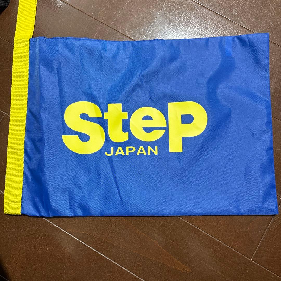 ストリークフライ2 28.5cm