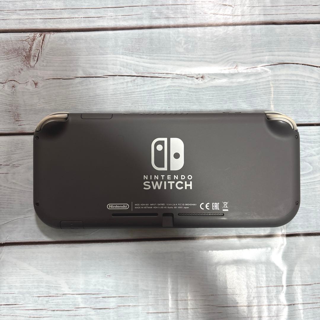 Switchライト本体のみ　グレー　液晶難あり　訳ありジャンク品