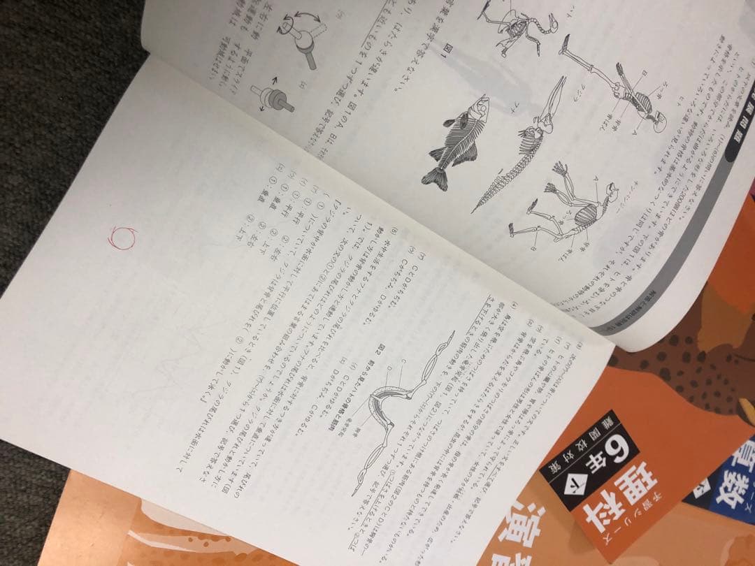 四谷大塚6年　予習シリーズ難関校対策　国算理社　2024年版中古