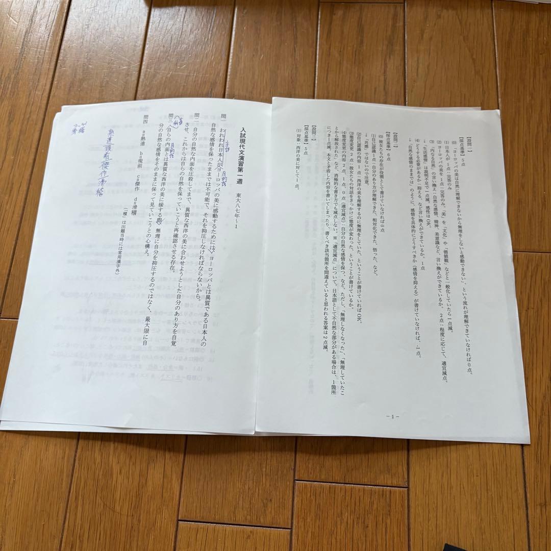 【レア教材】 鉄緑会 高３ 現代文 フルセット (プリント全完備)