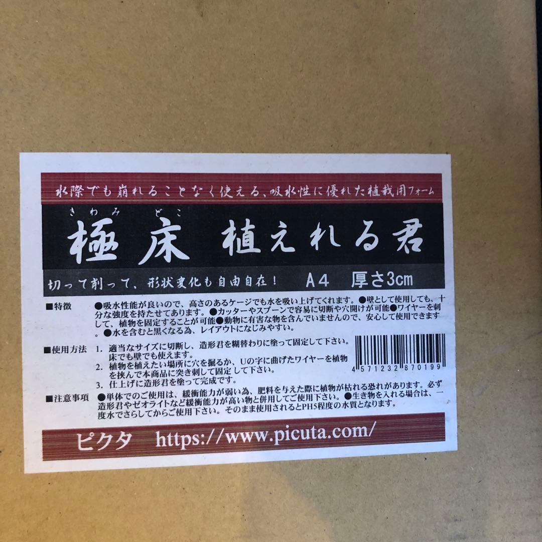 苔テラリウム豪華セット（極床植えれる君A4×3、 活着君M×2、造形君4L×2）