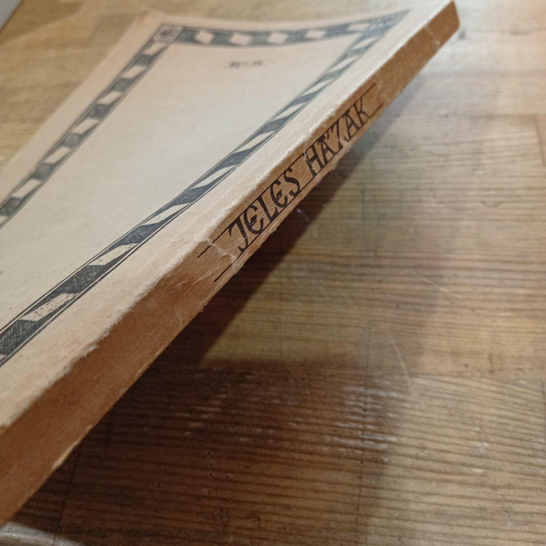 【希少本】ハンガリーの歴史的建築画集 JELES HÁZAK 古建築