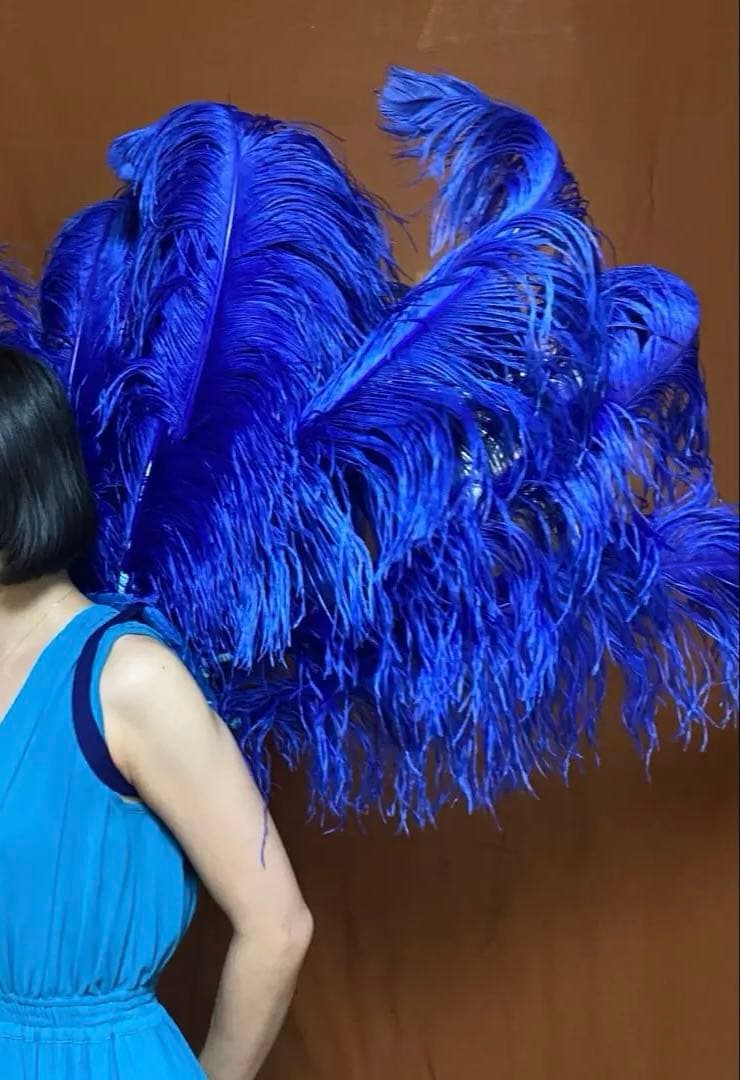 カーニバル衣装 ボリューム満点 青い純正ダチョウ羽根のダンスコスチューム