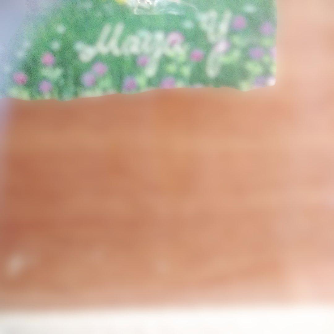 横山真弥 かわいいおうち